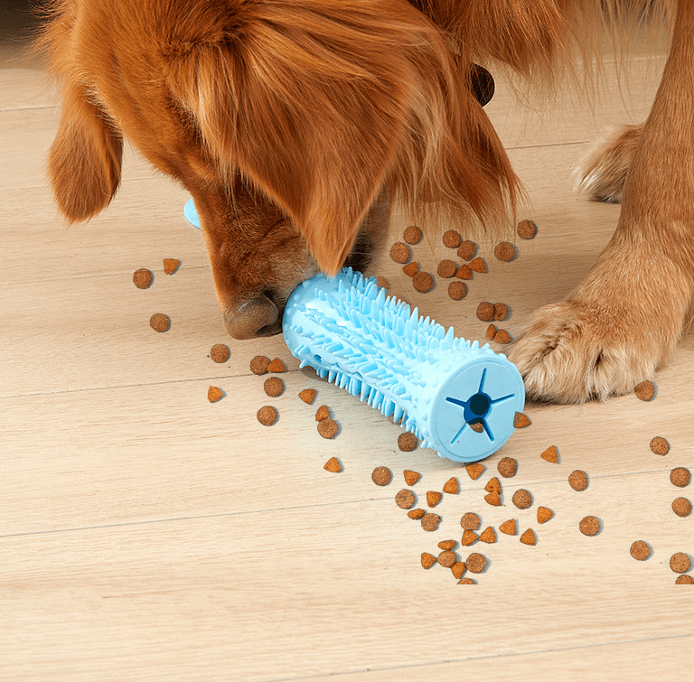 Molar Maximizer Suction Cup Dog Toy-2